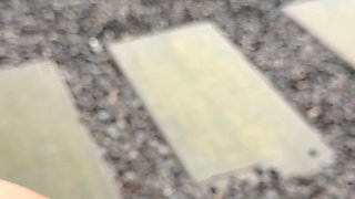Pissing All Over Myself in My Garden