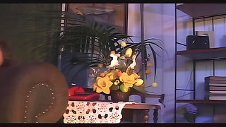 Compilation, From Hard to Soft Couples and Group