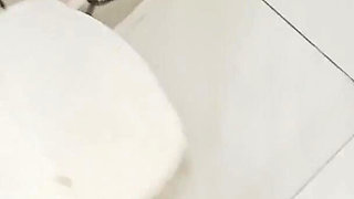 Bangladeshi College Girl Fuck