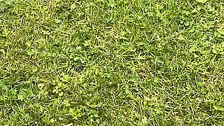 Hucow Dogging Bukkake Therapy