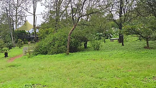 Indian Desi Girl Kissing Scenes and Boobs Press by Her Boyfriend in Forest