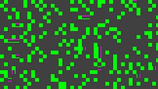 Mi conejo es el mejor