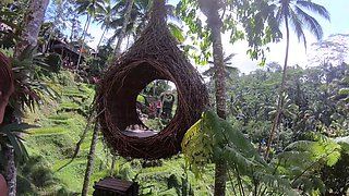 Big booty Thai girlfriend garden sex