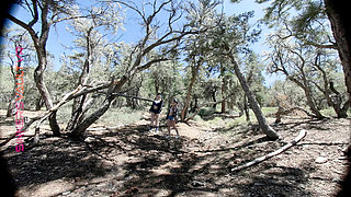 Vr180 Forest Foreplay