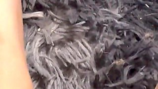 Closeup Hairy Moments