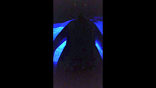 MILF Candi Annie Fucks and Swallows Cum in Hot Tub Romp -  POV video