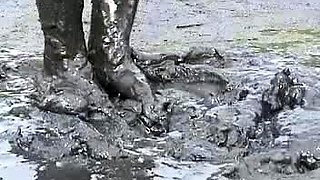 Teen Cute Italian Brunette Solo At