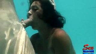Watch pool orgy 1 - Babe, Milf, Blonde Porn