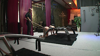 BDSM - Public Humiliation for Anal-gagged Slave Girl