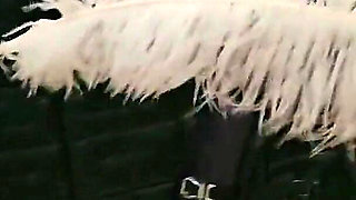 Sheela Sinner Long Nails Oiled Body Tickling Bondage on the Rack Part 1