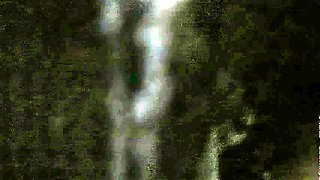 Amateur Hidden Cam with Dildo Wives