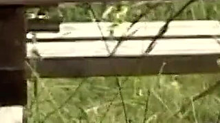 Outdoor sex with horny blonde