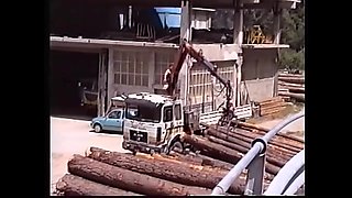 Carmen Herzog - Il Boscaiolo Valdostano