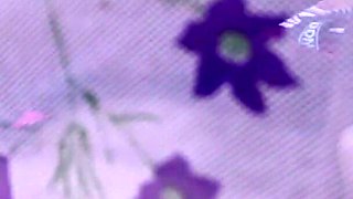 Newly Married Husband and Wife Sex Video, Suhag Rat Sex Video, Indian Housewife Honeymoon Night Sex Video