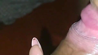 The Best Four-legged Bet