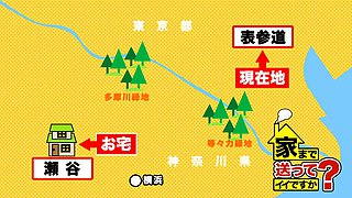 0009031_マダム えっち 熟女などが含まれている