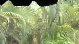 Raining session with monster titts Samantha 38G