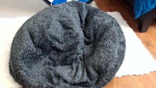 Blonde tight pussy babe solo toy fun in glamour masturbation