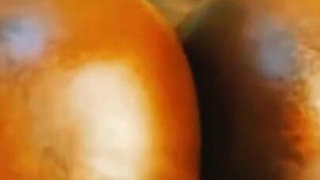 Oiled SSBBW Doggy Spread and Farts