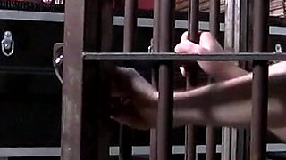 Milking Machine Cock Drain