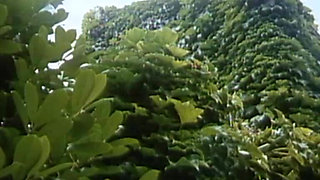 Brigitte Lahaie, Annouchka & Marion Webb's Steamy Vaginal Fondling in Scene 8: "secrétaire Sans Culotte" (1979)