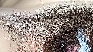 Hairy, Wet, and Dirty