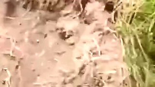 Indian Desi Village Bhabhi Very Nice Fuck