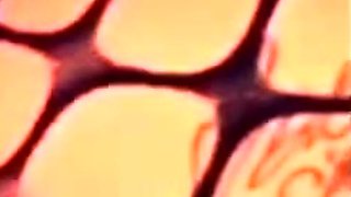 brunette babe with big boobs is so hot