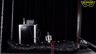 The World of Female Domination Part 2