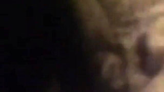 The Gozona Pig Gets Milk