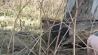 Patricia in the Countryside, Pee and Masturbation Outdoors