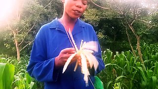 My Nice Talk on Zambian Maize