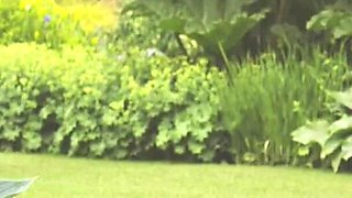 Outdoor Closeup Massage with Garabas and Olpr