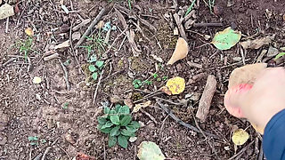 Drain Water on the Apple Garden