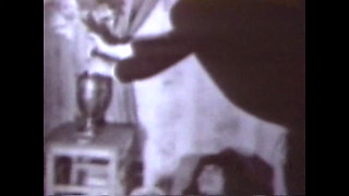 The Hairy Pussies of Yesteryear