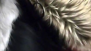 Masturbating While Wearing Fur Coat and Shiny High Heels 205