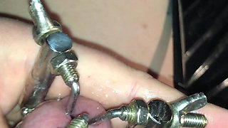 Watch How My Little Piggy Is Allowed to Watch