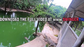Crocodile feeding and pussy pleasing