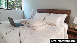 Horny Shemale Gets Naughty 182