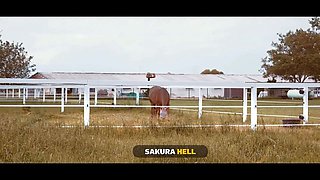Vip4k. city pecker, country girls