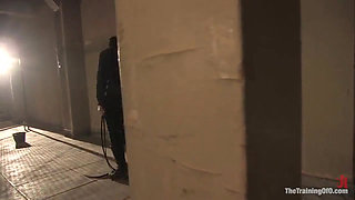 The Training of Lilla Katt, Day Three