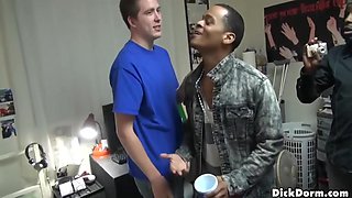 Roommates Dilemma Leads To Satisfaction