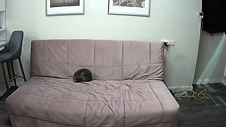 Cute amateur teen girl toying her pussy in bed on cam