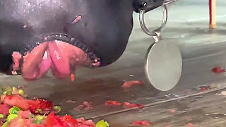 Slave Eats Dessert Stepped on the Floor