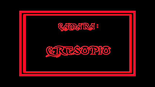 Landing in the Forest 1