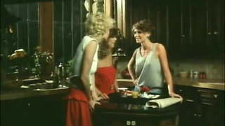 Classic Porn Dvds: Hot Chicks: Part 4