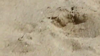 Crystal Wilder Fucked Hard on the Beach by Two Big Cocks