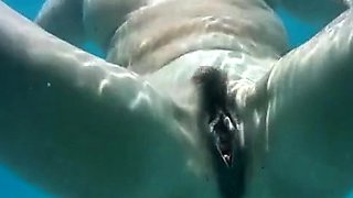 Serbian Cougar Gets Oiled Up