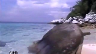 Thai Girls Compilation