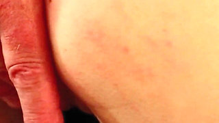 Free Use Bound to Sex Bench